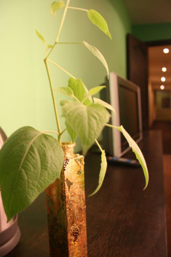 Hotel Evaline Riga Luaran gambar